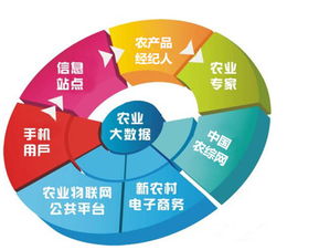 農(nóng)業(yè)市場雖難做，網(wǎng)絡(luò)技術(shù)賦能，鄉(xiāng)村也能出富豪